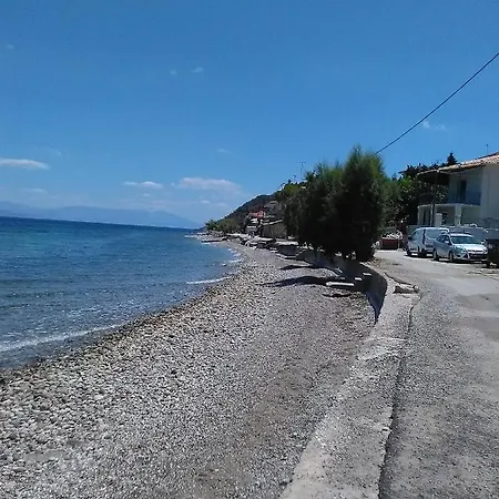 Modern Ground Floor On The Pebbles 아파트 Paralia Platanou