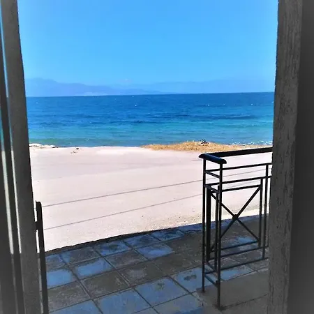 Modern Ground Floor On The Pebbles 아파트