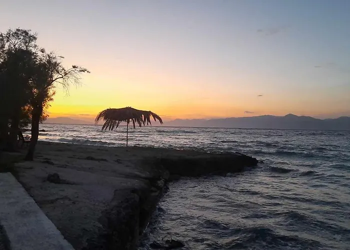 Modern Ground Floor On The Pebbles Διαμέρισμα Paralia Platanou